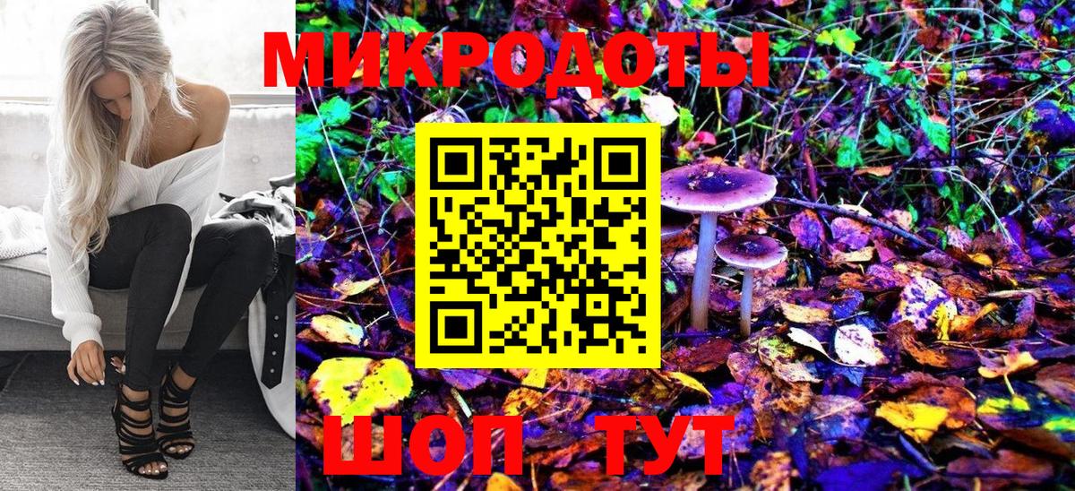 Псилоцибиновые грибы Psilocybe  Вход с VPN  Котовск  Псилоцибиновые грибы прущие грибы 