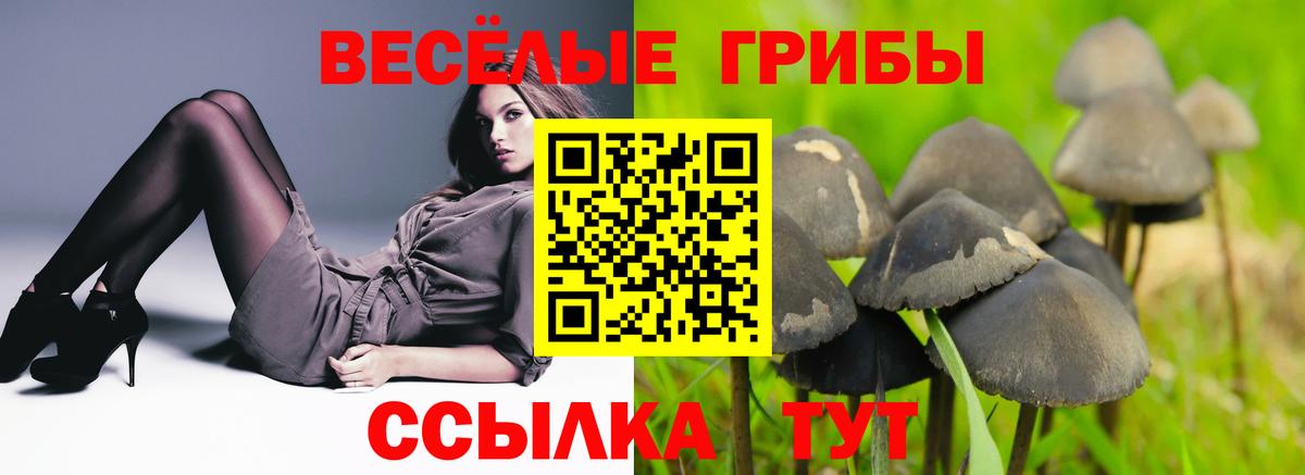 Псилоцибиновые грибы прущие грибы Котовск